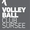 Club Logo VBC Sursee 4