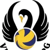 Club Logo VBC Liesberg