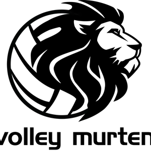 Club Logo TV Murten Volleyball F5