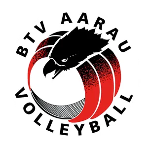 Club Logo BTV Aarau 6