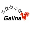 Club Logo VBC Galina 2