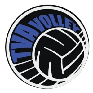 Club Logo TV Arlesheim D1