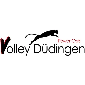 Club Logo Volley Düdingen F4 A