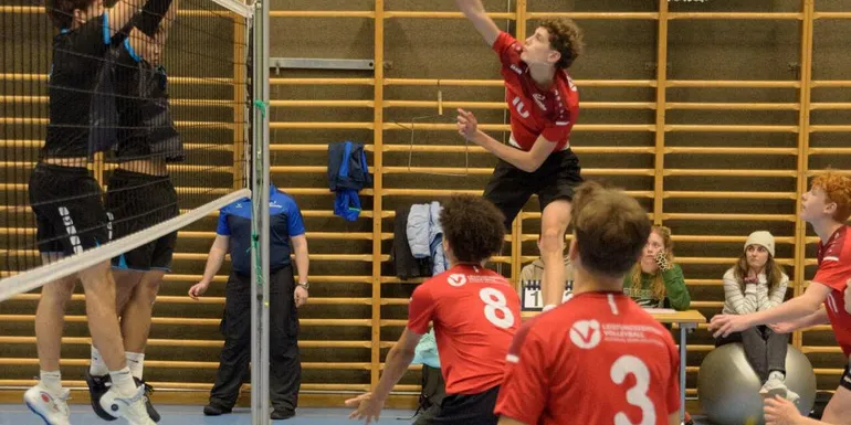 Volley Talents Bern Männer erhalten NNV-Label ab Sommer 2027